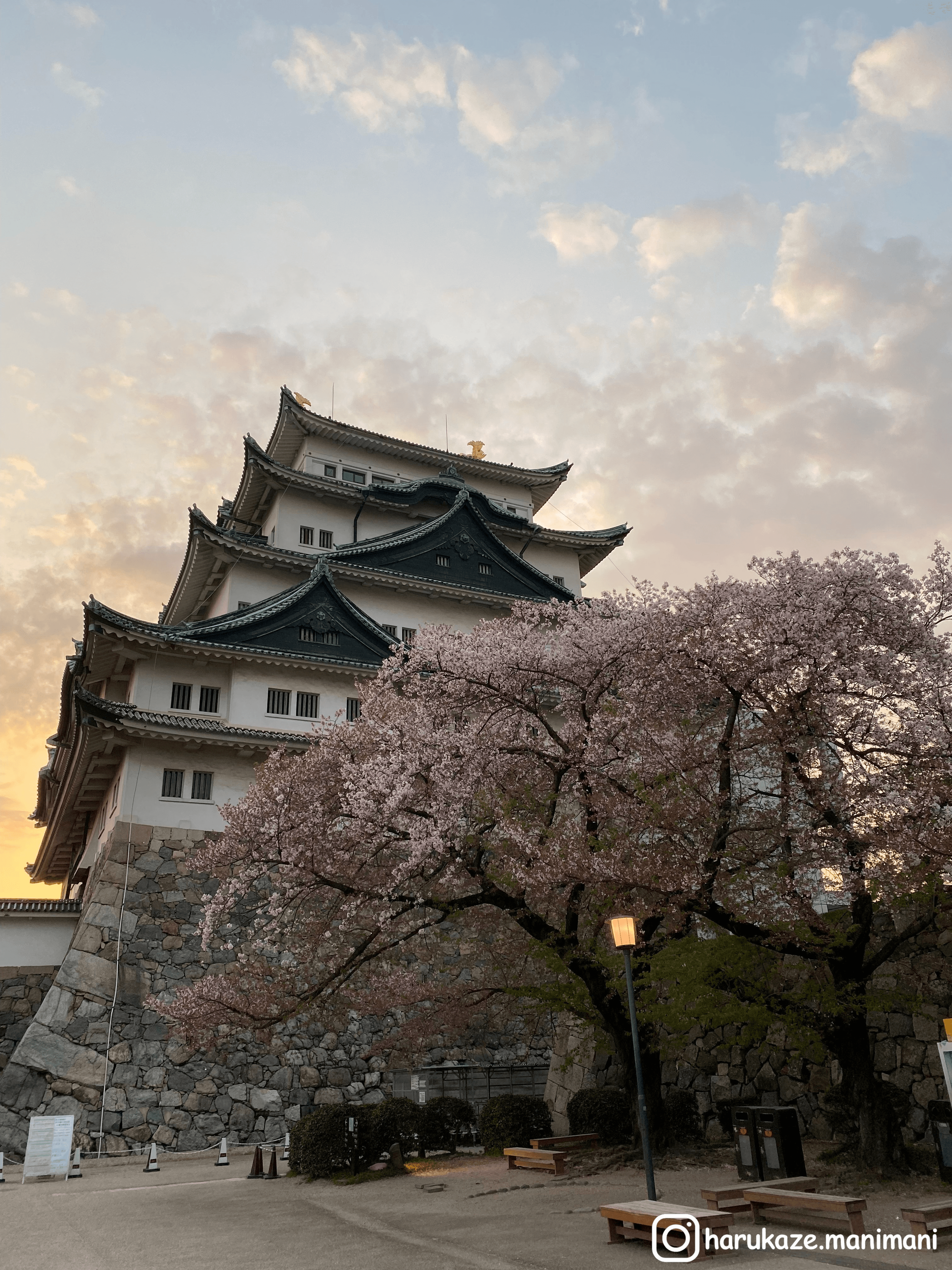 名古屋・白川郷・飛騨高山・大阪｜Day 1 初次見面，名古屋