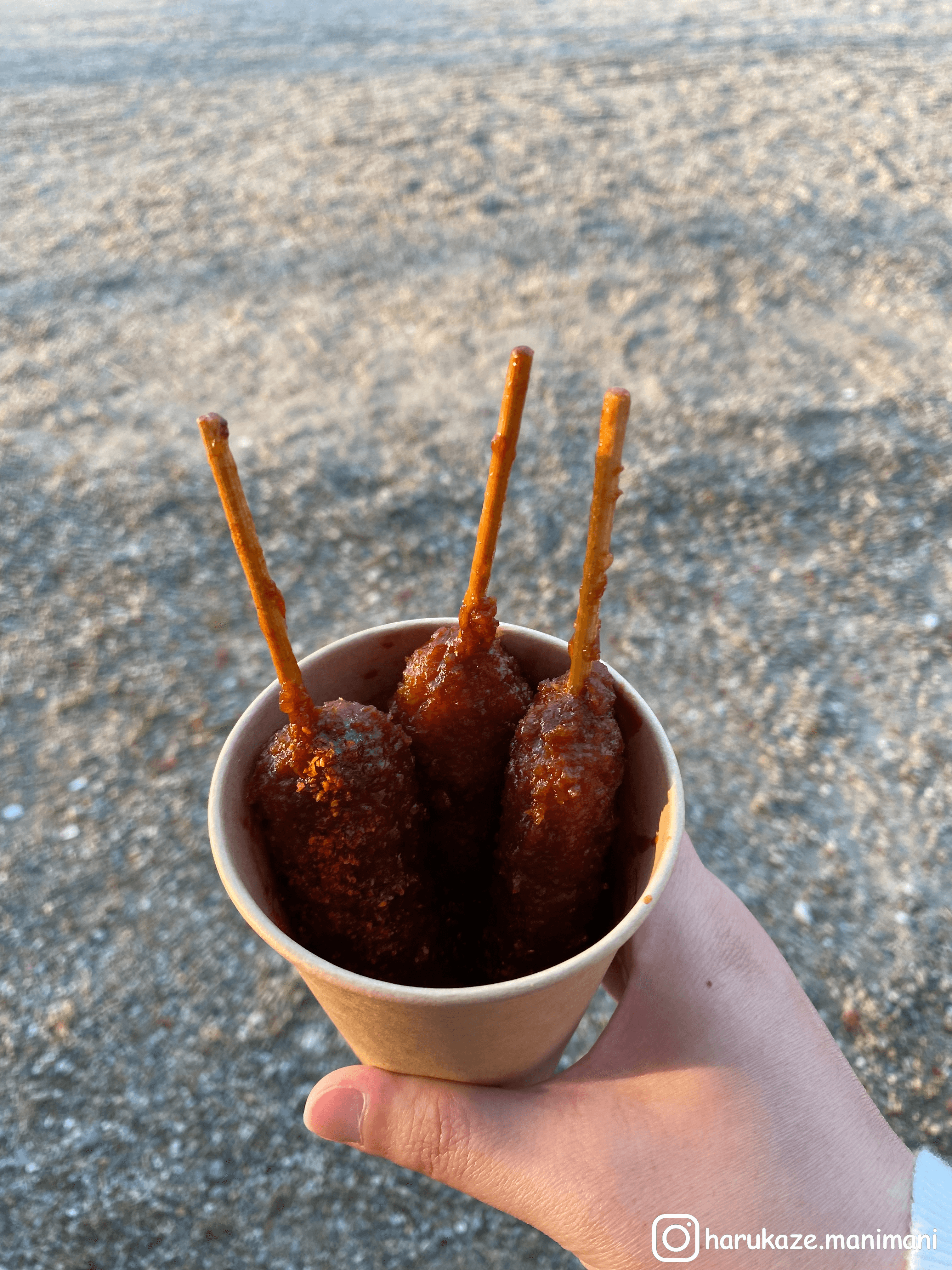 味噌豬排串