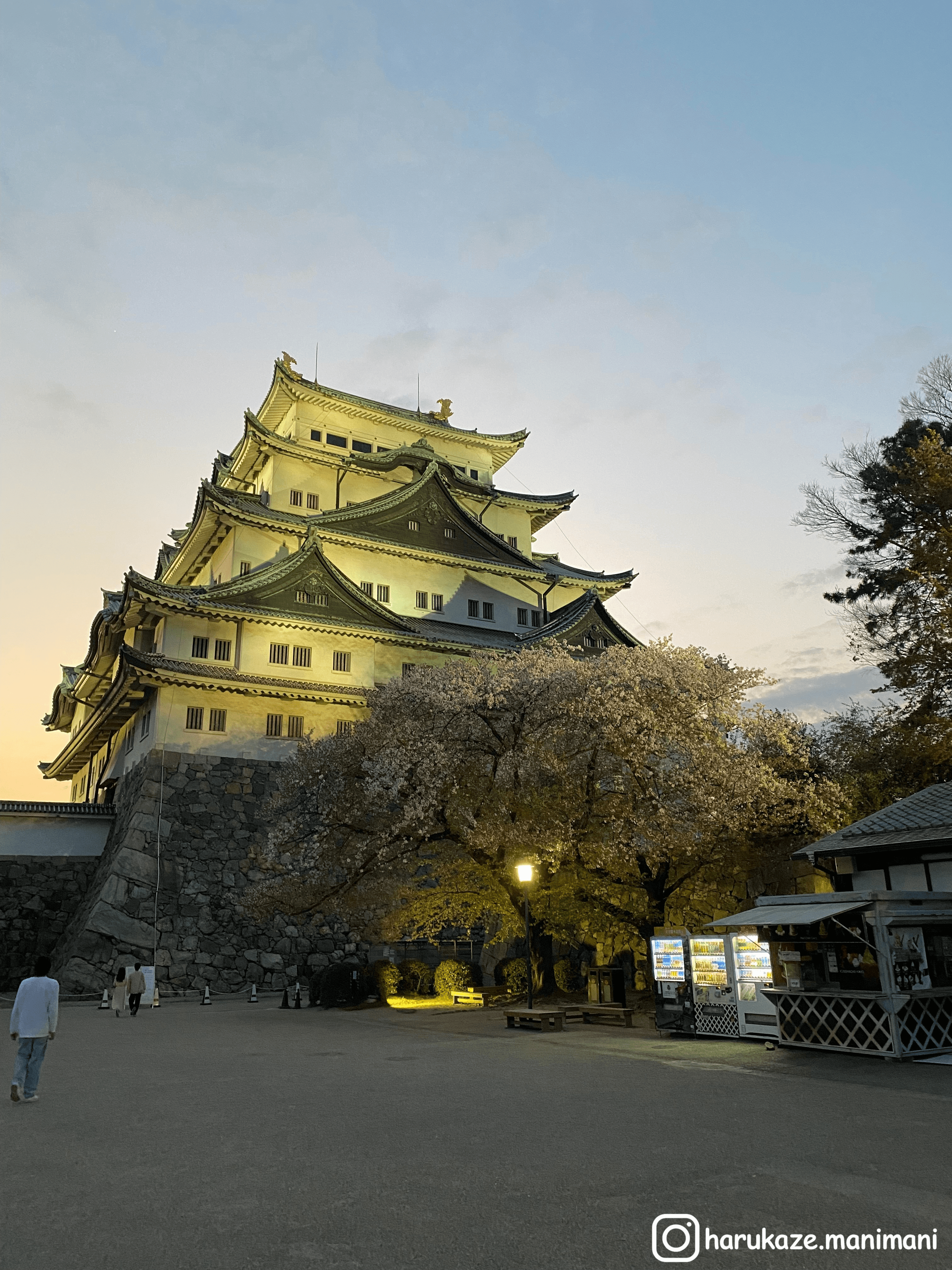 傍晚的名古屋城